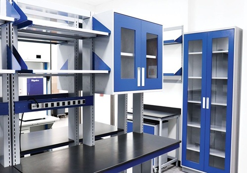 Nikichis-Laboratory Designs